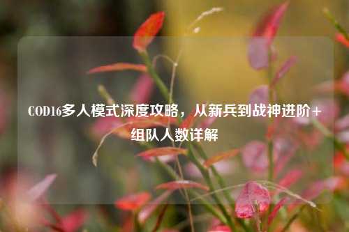 COD16多人模式深度攻略,从新兵到战神进阶+组队人数详解