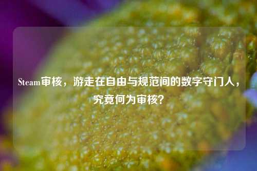 Steam审核,游走在自由与规范间的数字守门人,究竟何为审核?