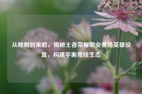 从规则到策略,揭秘王者荣耀职业赛场英雄设置,构建平衡竞技生态