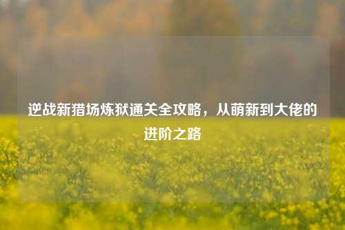 逆战新猎场炼狱通关全攻略,从萌新到大佬的进阶之路
