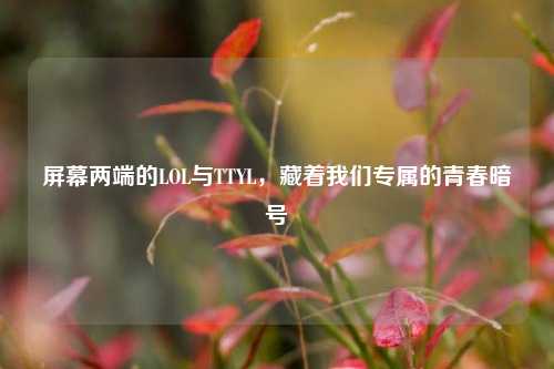 屏幕两端的LOL与TTYL,藏着我们专属的青春暗号