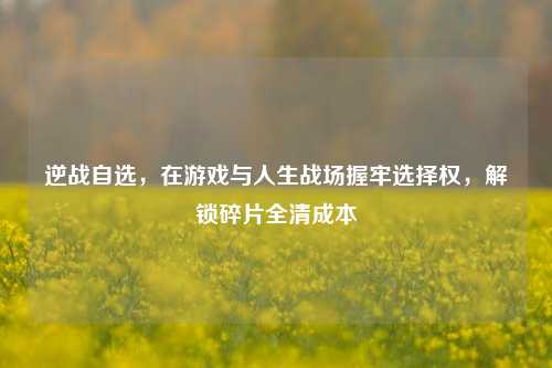 逆战自选,在游戏与人生战场握牢选择权,解锁碎片全清成本