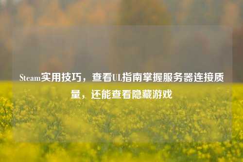 Steam实用技巧,查看UL指南掌握服务器连接质量,还能查看隐藏游戏