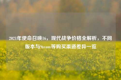 2021年使命召唤16,现代战争价格全解析,不同版本与Steam等购买渠道差异一览