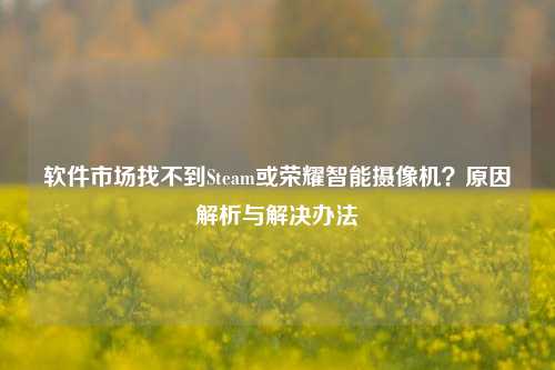 软件市场找不到Steam或荣耀智能摄像机?原因解析与解决办法
