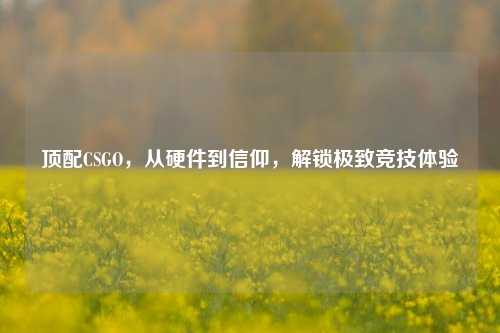 顶配CSGO,从硬件到信仰,解锁极致竞技体验
