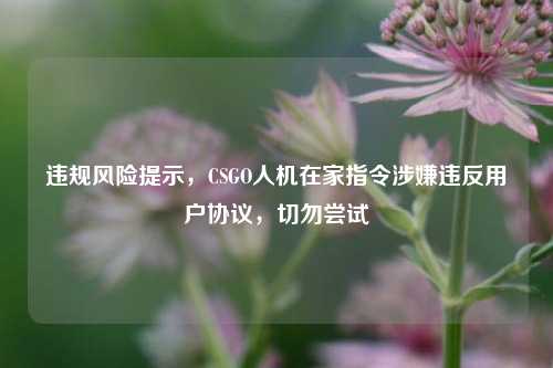 违规风险提示,CSGO人机在家指令涉嫌违反用户协议,切勿尝试