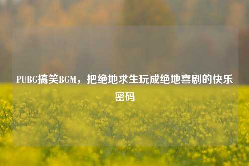 PUBG搞笑BGM,把绝地求生玩成绝地喜剧的快乐密码