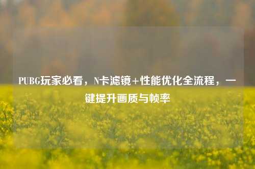 PUBG玩家必看,N卡滤镜+性能优化全流程,一键提升画质与帧率