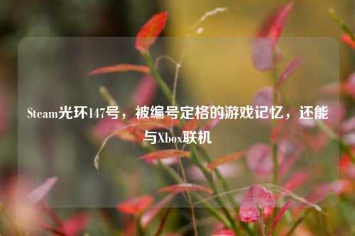 Steam光环147号,被编号定格的游戏记忆,还能与Xbox联机