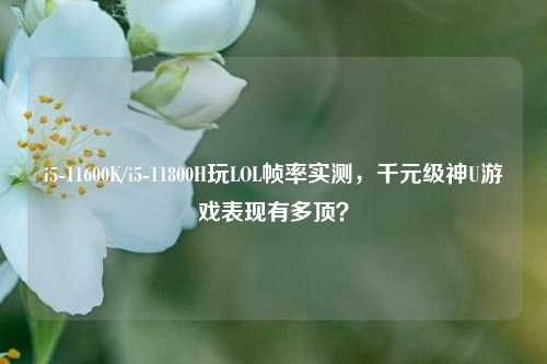 i5-11600K/i5-11800H玩LOL帧率实测,千元级神U游戏表现有多顶?