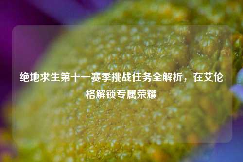 绝地求生第十一赛季挑战任务全解析,在艾伦格解锁专属荣耀