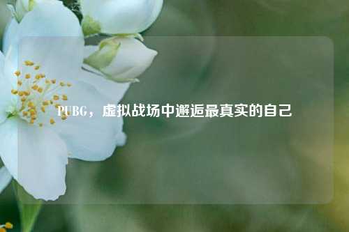 PUBG,虚拟战场中邂逅最真实的自己