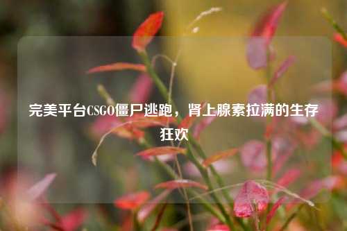 完美平台CSGO僵尸逃跑,肾上腺素拉满的生存狂欢