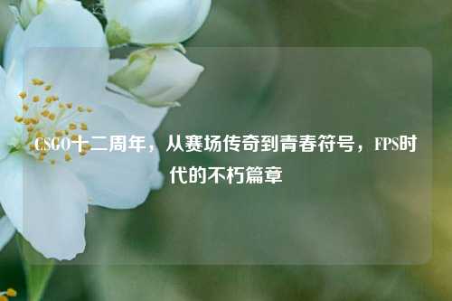 CSGO十二周年,从赛场传奇到青春符号,FPS时代的不朽篇章