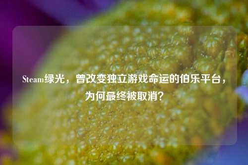 Steam绿光,曾改变独立游戏命运的伯乐平台,为何最终被取消?