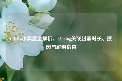 COD16小黑屋全解析,350ping关联封禁时长、原因与解封指南