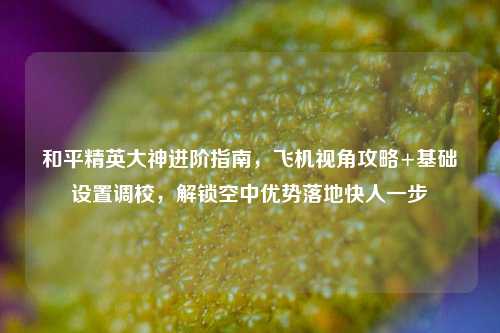 和平精英大神进阶指南,飞机视角攻略+基础设置调校,解锁空中优势落地快人一步