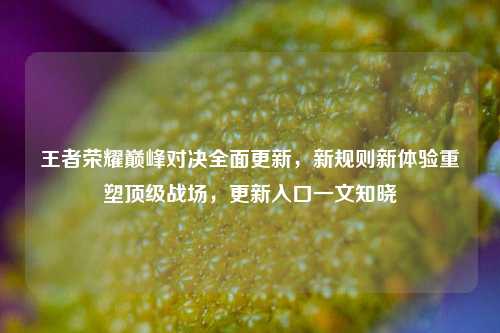 王者荣耀巅峰对决全面更新,新规则新体验重塑顶级战场,更新入口一文知晓