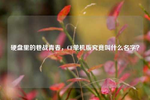 硬盘里的巷战青春,CF单机版究竟叫什么名字?