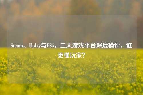 Steam、Uplay与PS5,三大游戏平台深度横评,谁更懂玩家?