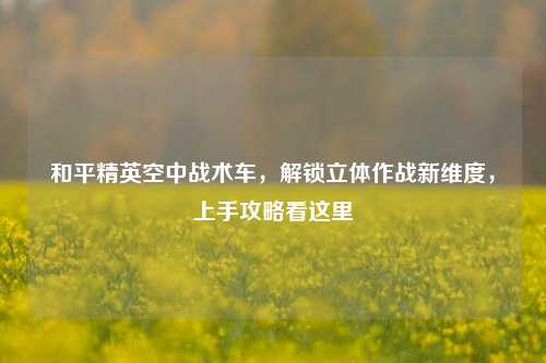 和平精英空中战术车,解锁立体作战新维度,上手攻略看这里