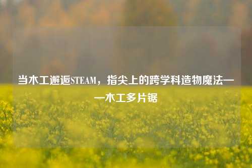 当木工邂逅STEAM,指尖上的跨学科造物魔法——木工多片锯