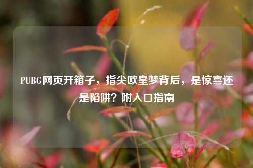 PUBG网页开箱子,指尖欧皇梦背后,是惊喜还是陷阱?附入口指南
