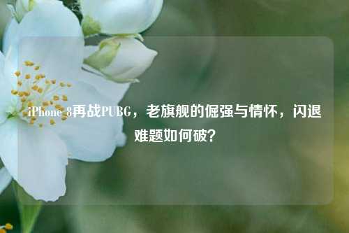 iPhone 8再战PUBG,老旗舰的倔强与情怀,闪退难题如何破?