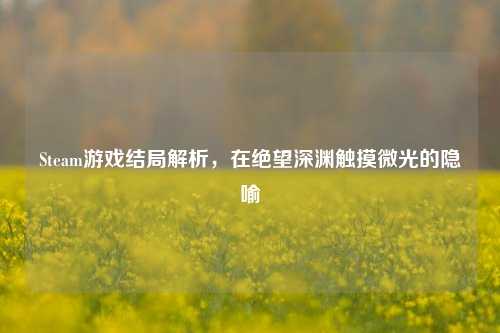 Steam游戏结局解析,在绝望深渊触摸微光的隐喻