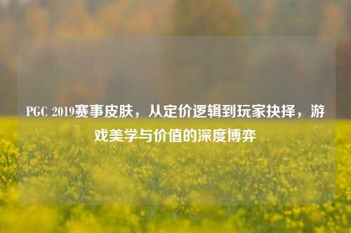 PGC 2019赛事皮肤,从定价逻辑到玩家抉择,游戏美学与价值的深度博弈