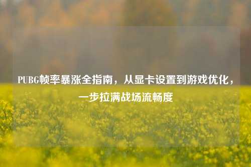 PUBG帧率暴涨全指南,从显卡设置到游戏优化,一步拉满战场流畅度
