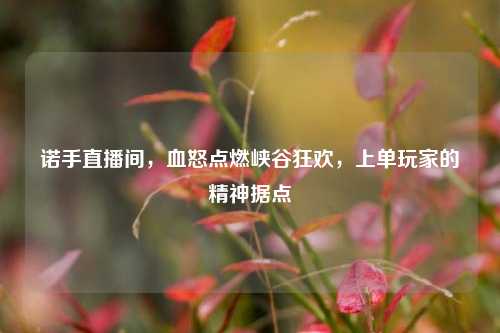 诺手直播间,血怒点燃峡谷狂欢,上单玩家的精神据点