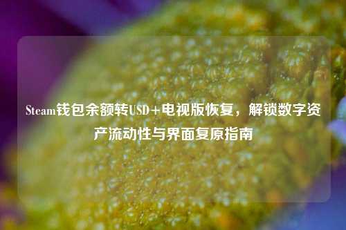 Steam钱包余额转USD+电视版恢复,解锁数字资产流动性与界面复原指南