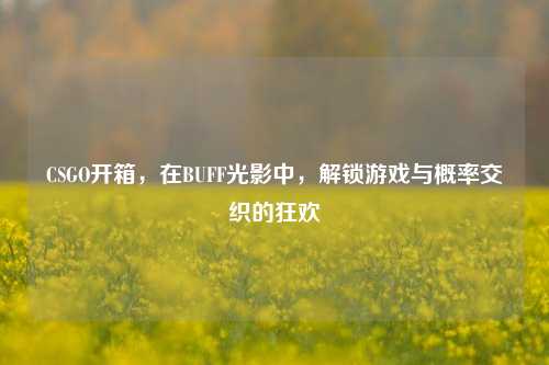 CSGO开箱,在BUFF光影中,解锁游戏与概率交织的狂欢
