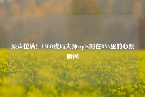 原声拉满!CSGO残局***xyp9x刻在DNA里的心跳瞬间