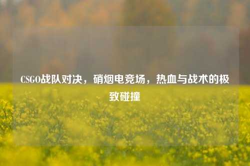 CSGO战队对决,硝烟电竞场,热血与战术的极致碰撞