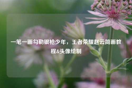 一笔一画勾勒银枪少年,王者荣耀赵云简画教程&头像绘制
