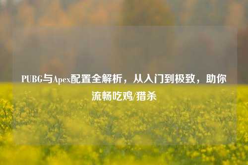 PUBG与Apex配置全解析,从入门到极致,助你流畅吃鸡/猎杀