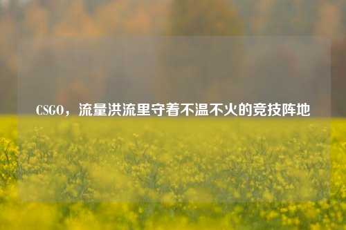 CSGO,流量洪流里守着不温不火的竞技阵地