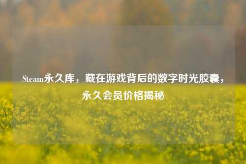 Steam永久库,藏在游戏背后的数字时光胶囊,永久会员价格揭秘