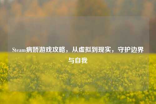 Steam病娇游戏攻略,从虚拟到现实,守护边界与自我