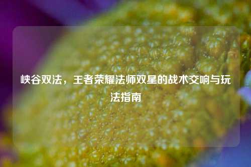 峡谷双法,王者荣耀法师双星的战术交响与玩法指南