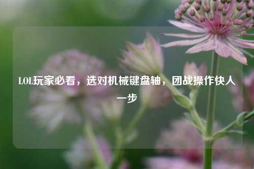 LOL玩家必看,选对机械键盘轴,团战操作快人一步