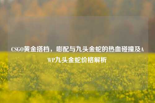 CSGO黄金搭档,嘭配与九头金蛇的热血碰撞及AWP九头金蛇价格解析