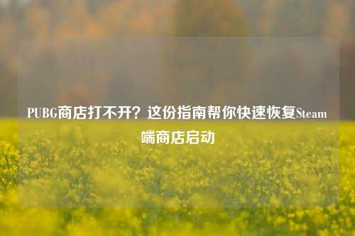 PUBG商店打不开?这份指南帮你快速恢复Steam端商店启动