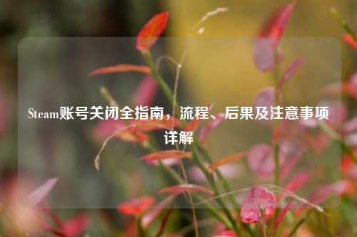 Steam账号关闭全指南,流程、后果及注意事项详解