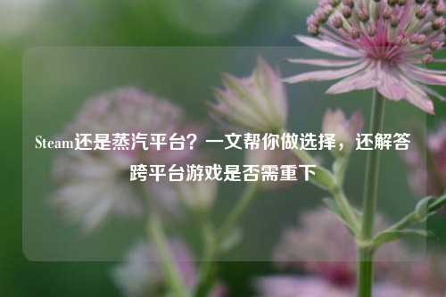 Steam还是蒸汽平台?一文帮你做选择,还解答跨平台游戏是否需重下