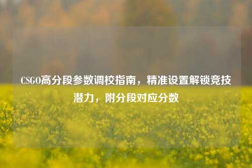 CSGO高分段参数调校指南,精准设置解锁竞技潜力,附分段对应分数