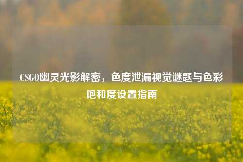 CSGO幽灵光影解密,色度泄漏视觉谜题与色彩饱和度设置指南
